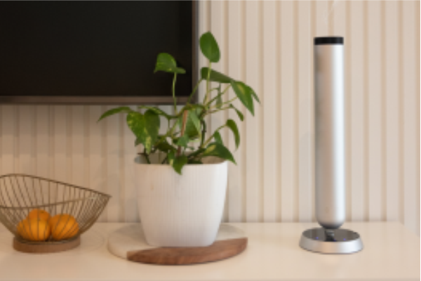 Aromatización Residencial